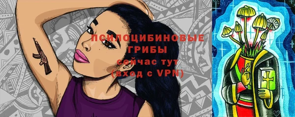 метамфетамин Гусев