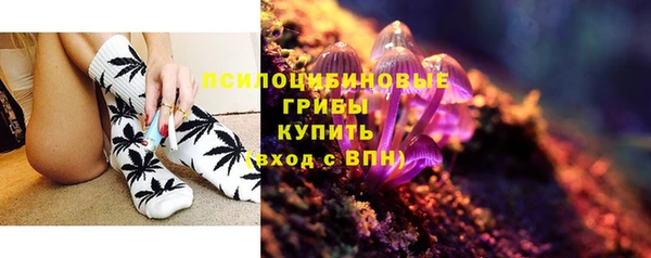 прущая мука Гусиноозёрск